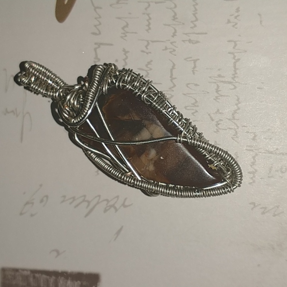 NWT Beautiful Polished Petrified Wood Wrapped Pendant
